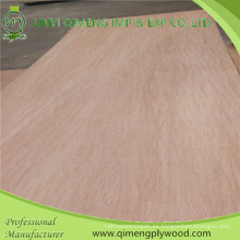 Madera contrachapada Bintangor 4.2mm de Chumbo de Linyi Qimeng